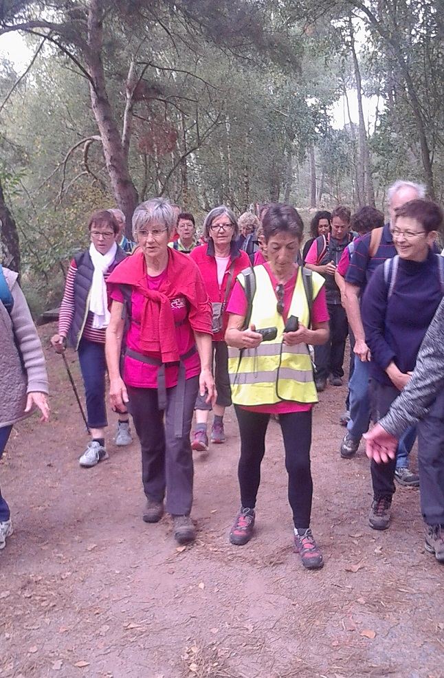 Marche rose d'octobre 2017